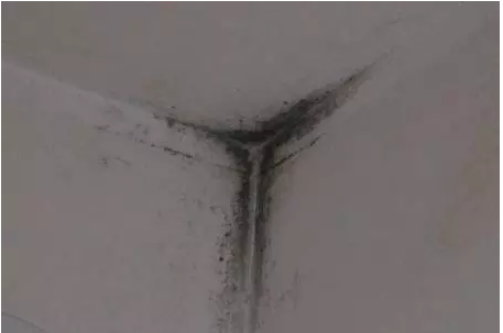 室內(nèi)結(jié)露發(fā)霉