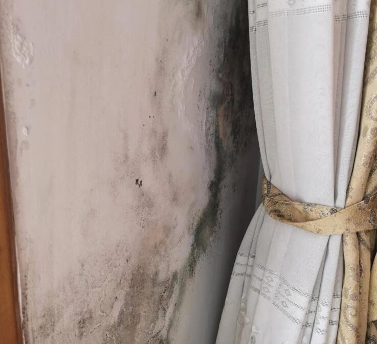 ����Ǽ��b�≦��������������Љ��ڰl(f��)ù����ô������